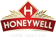 HONEYWELL RELAUNCH CAMPAIGN Logo